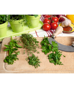 Organic Kitchen Herb Set Green