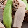 Gourd Luffa Sponge Gourd