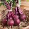Beetroot Boro H Bio