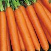 Carrot Nantes 3