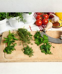 Buzzy Organic Kitchen Herb Set White