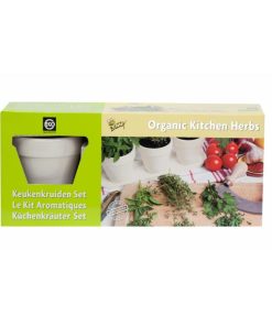 Buzzy Organic Kitchen Herb Set White