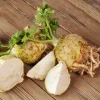 Celeriac Maxim