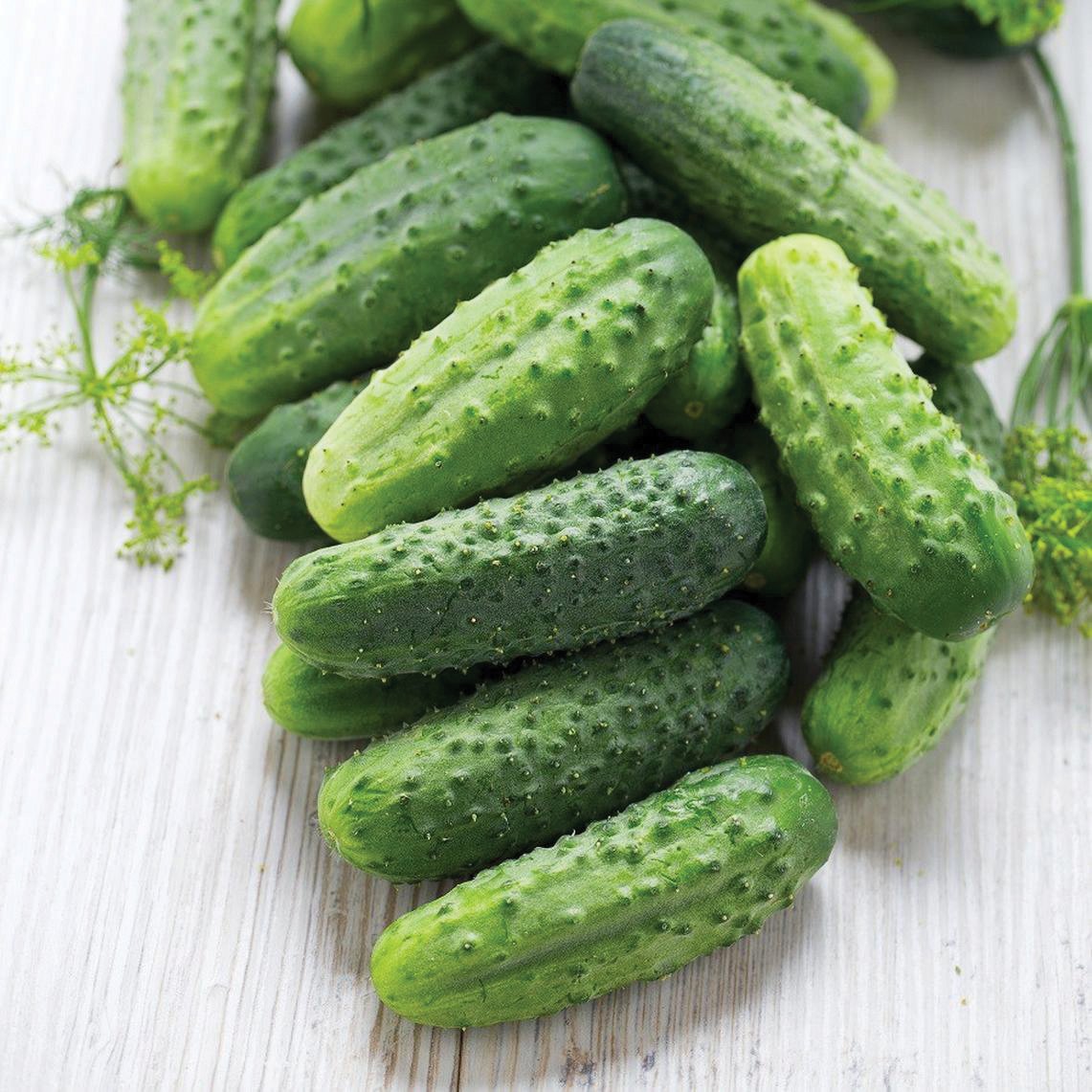 Cucumber Brawo
