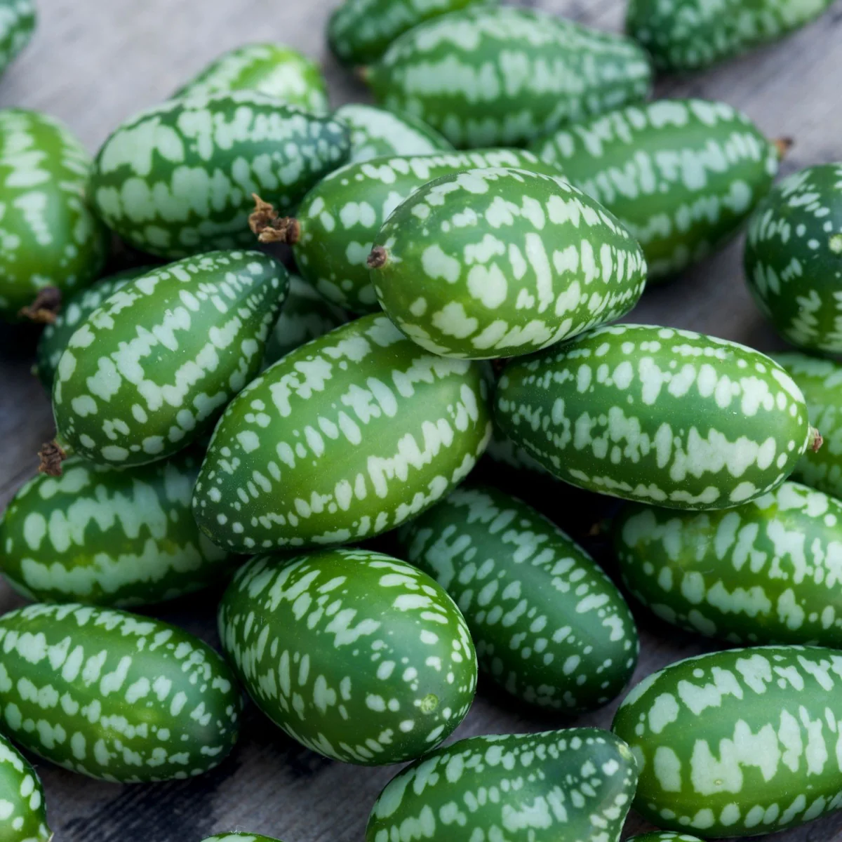 Cucumber Mexican Sour Gherkin