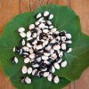 Bean French Bean Yin Yan
