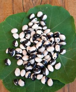 Bean French Bean Yin Yan