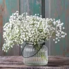 Gypsophila, Baby?s Breath Snowflake