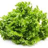 Lettuce Ice Lettuce Frillice