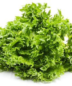 Lettuce Ice Lettuce Frillice
