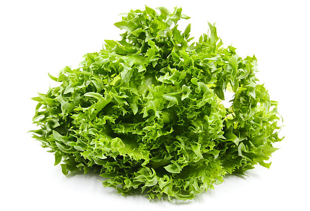 Lettuce Ice Lettuce Frillice