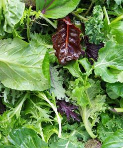 Japanese Greens Mixed