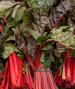 Chard Spinach Beet Rhubarb Chard