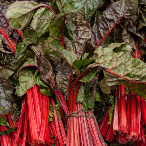 Chard Spinach Beet Rhubarb Chard seeds 3g - Mallorn Gardening Supplies