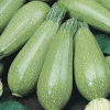 Marrow Faro H