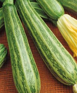Marrow Striato Di Napoli