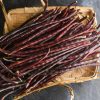 Bean Yard Long Bean Metro Purple Rod