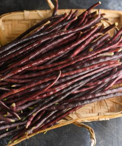 Bean Yard Long Bean Metro Purple Rod