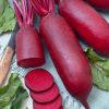 Beetroot Alexis