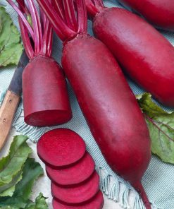 Beetroot Alexis