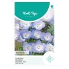 nemophila heavenly blue