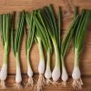 Onion Bajkal