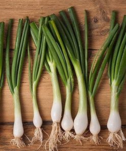 Onion Bajkal