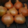 Onion Spirit H