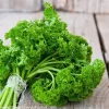 Parsley Astra Curly