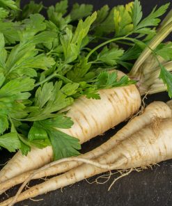 Parsley Root Arat