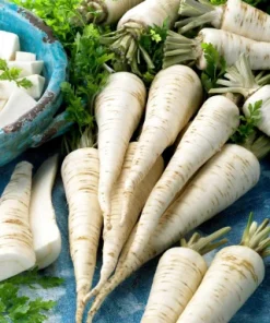 Parsley Root halblange