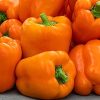 Pepper Gourmet