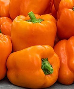Pepper Gourmet