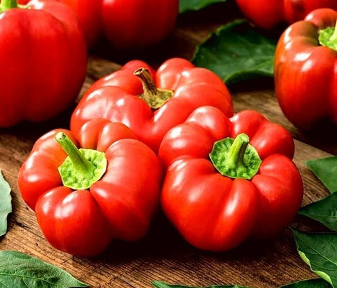 Pepper Sweet Topepo Rosso