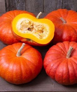 Pumpkin Rouge vif d'Etampes