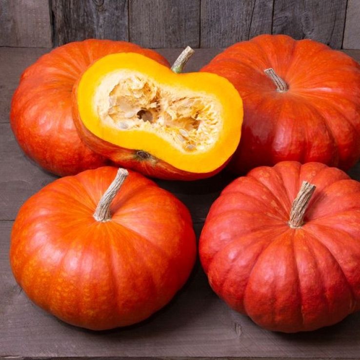 Pumpkin Rouge vif d'Etampes