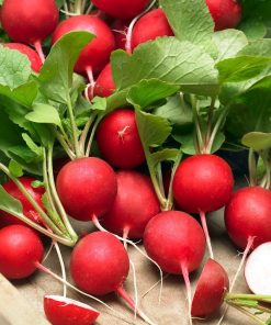Radish Rondeel