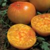 Tomato Ananas