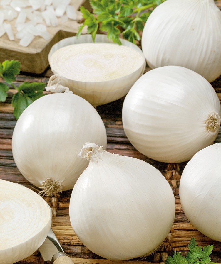 Onion Avalon