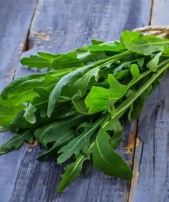 Wild Rocket Perennial Rocket Olivetta