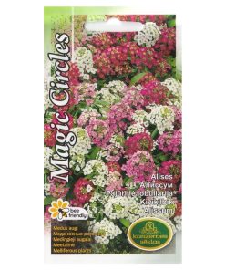 Alternative view of Alyssum Magic Circles mixed 0.3g