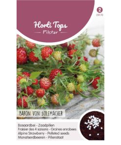 Alternative view of HT Alpine Strawberry seeds Baron von Solemacher pelleted 100s