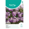alyssum royal carpet