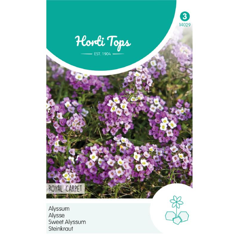 HT Alyssum seeds Royal Carpet 0.5g - Image 2