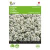 alyssum-snow-rug