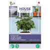 Buzzy House Plants Coffea seeds Arabica 2.5g (840114