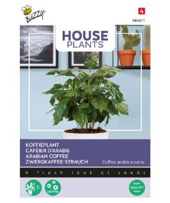 Buzzy House Plants Coffea seeds Arabica 2.5g (840114