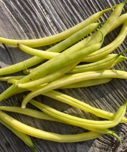 Bean Dwarf French Bean ORINOCO
