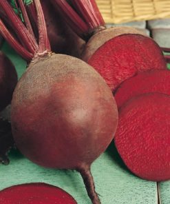 Beetroot Bona