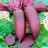 Beetroot Cylindra